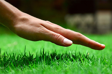 slider image